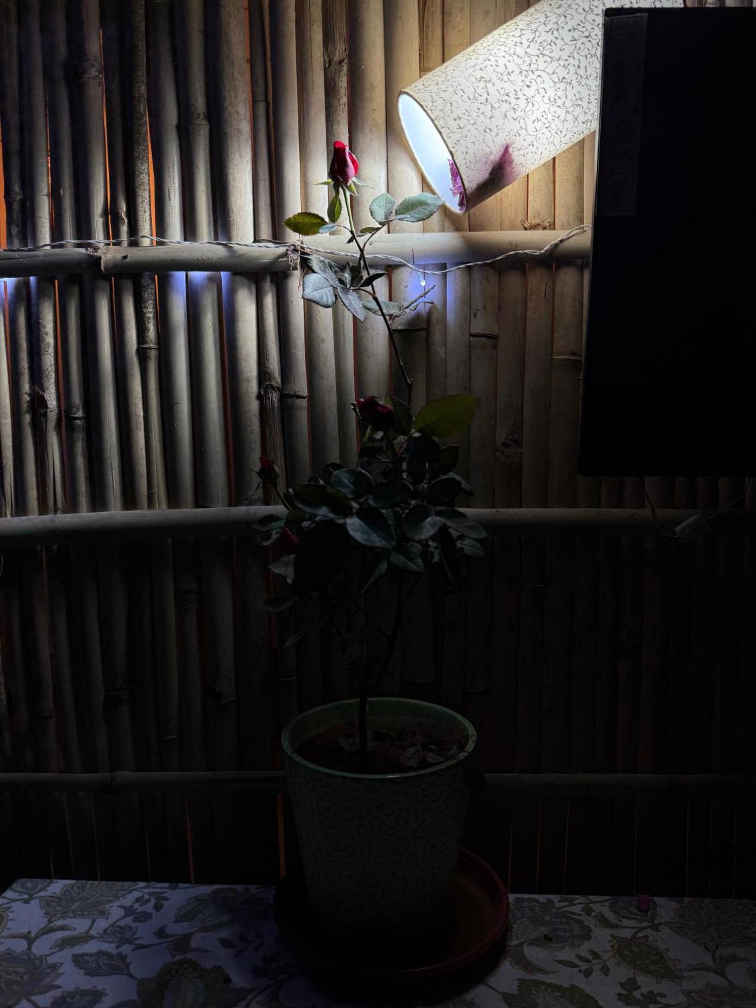 斋浦尔 Area 369酒店 外观 照片